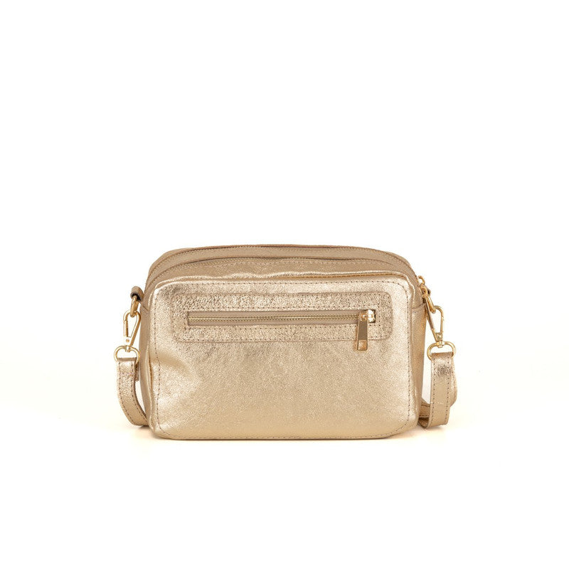 Pippa- WB113729-PLATINO (719)